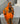 Youma orange/violet