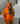 Youma orange/violet