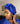 Foulard bleu